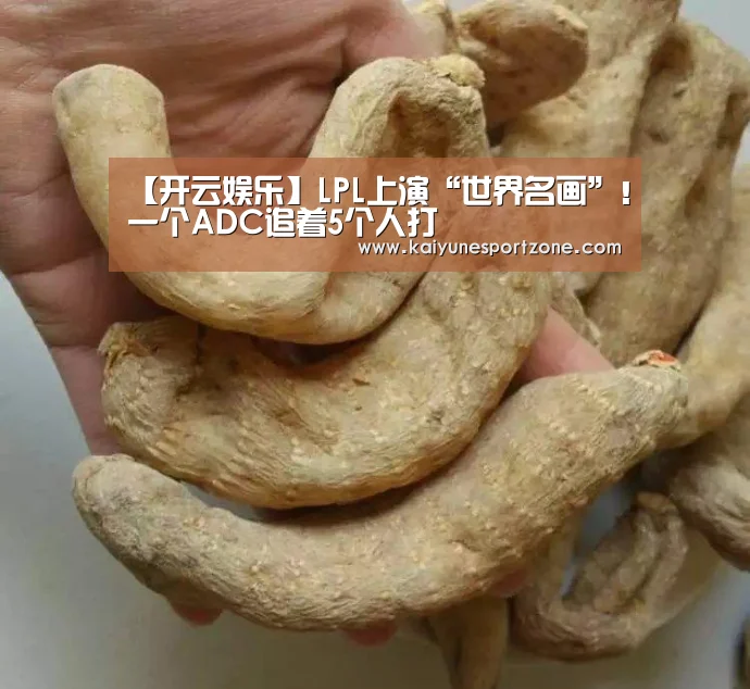 【开云娱乐】LPL上演“世界名画”!一个ADC追着5个人打(图3) 开云娱乐