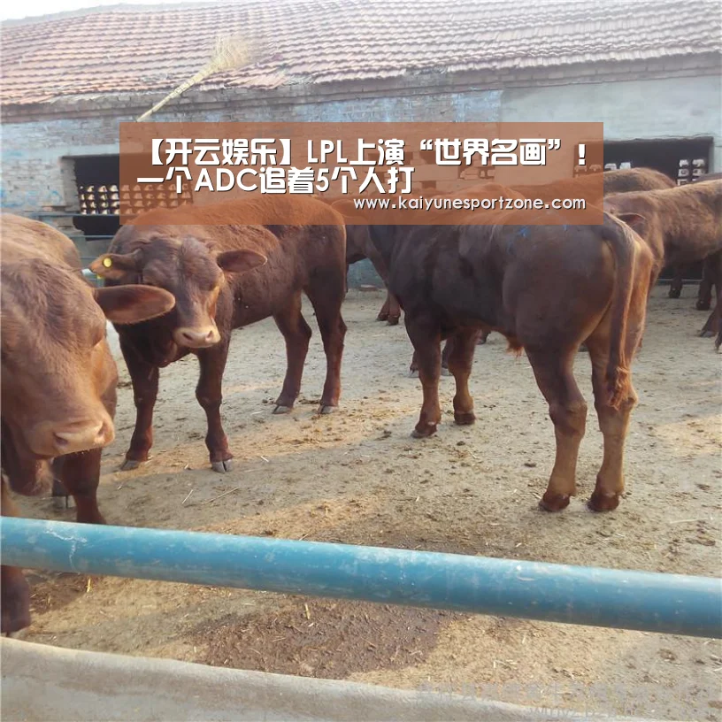 【开云娱乐】LPL上演“世界名画”!一个ADC追着5个人打(图2) 开云综合